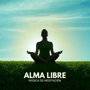 Download track Serenidad Y Calma Musica De Meditación