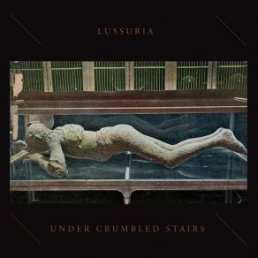 Download track Moths (Morning Rust) Lussuria