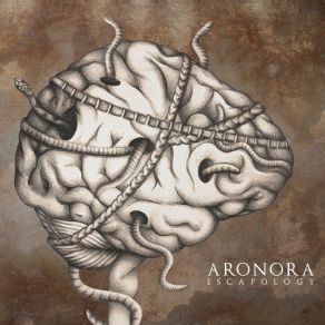 Download track An Hour A Lifetime, A Decade An Instant Aronora