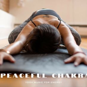 Download track Meditation And Yoga Music Pilates Music