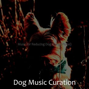 Download track Bubbly Ambience For Resting Dogs Dog Music Curation