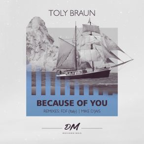 Download track Because Of You (Mike D' Jais Remix) Toly Braun