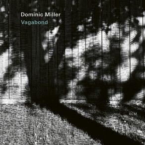 Download track Vaugines Dominic Miller