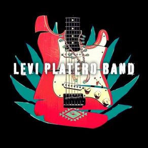 Download track Dirt Road Blues Levi Platero