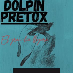Download track Espejo Magico Dolpin Pretox