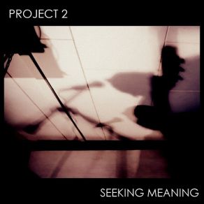 Download track Seeking Meaning Project 2