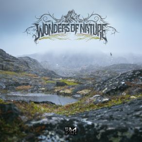 Download track Rain Wonders Of Nature