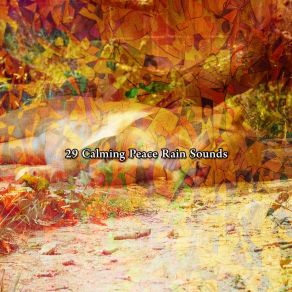 Download track Surround Yourself In Rain Rain For Deep Sleep