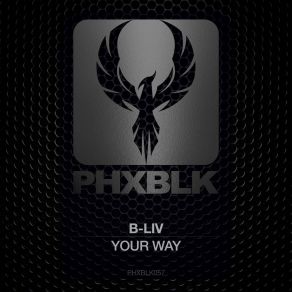 Download track Your Way (B Side Edit) B-Liv