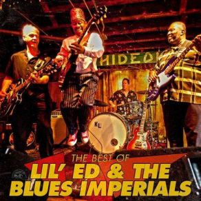 Download track Old Oak Tree Lil' Ed, The Blues Imperials