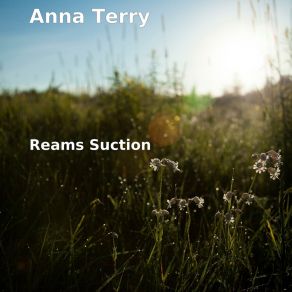 Download track Sense Shafts Anna Terry