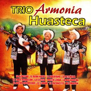 Download track El Llorar Trio Armonia Huasteca