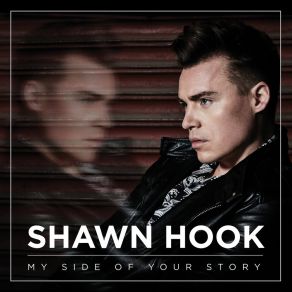 Download track Never Let Me Let You Go Shawn Hook