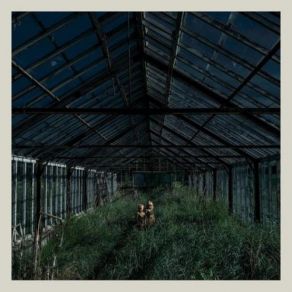 Download track Redwoods Foxing