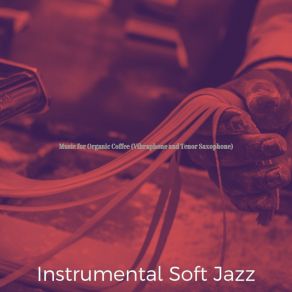 Download track Soulful Ambience For Dinner Time Instrumental Soft Jazz