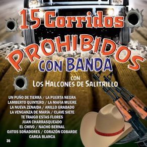 Download track El Anillo Grabado Los Alcones De Salitrillo