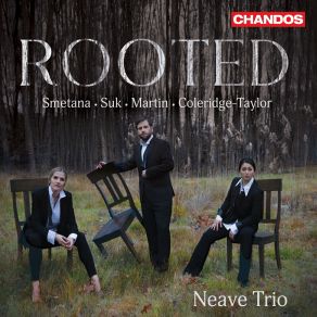 Download track Five Negro Melodies For Piano Trio: V. My Lord Delivered Daniel Neave Trio