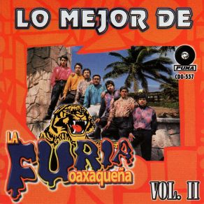 Download track Huazolotitlan La Furia Oaxaquena