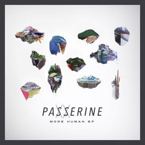 Download track More Human Passerine