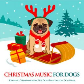 Download track Christmas Dog Music Dog Music, Music For Dog's Ears, Sleeping Music For Dogs