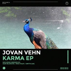 Download track Karma (Original Mix) Jovan Vehn