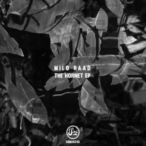 Download track The Hornet Milo Raad