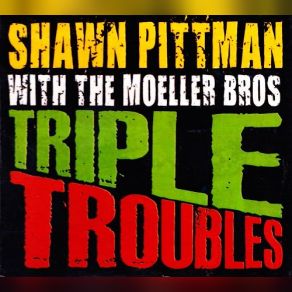 Download track Too Much Noise Shawn Pittman, The Moeller Brothers