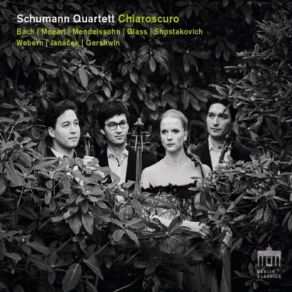 Download track Two Pieces For String Quartet: I. Elegy. Adagio Schumann Quartett