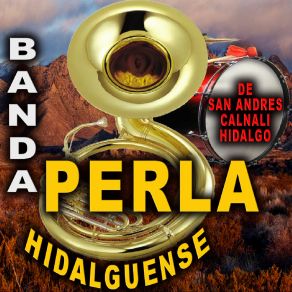 Download track Adorable Mentirosa Banda Perla Hidalguense