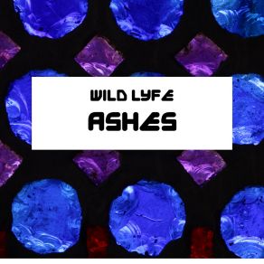 Download track Large Sky Wild Lyfe