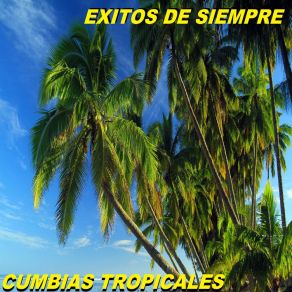 Download track Olvidemos Nuestro Orgullo Cumbias Tropicales