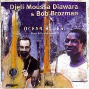 Download track Hip Hop Djeli Moussa Diawara, Bob Brozman