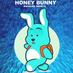 Download track Expectation (Original Mix) Honey Bunny