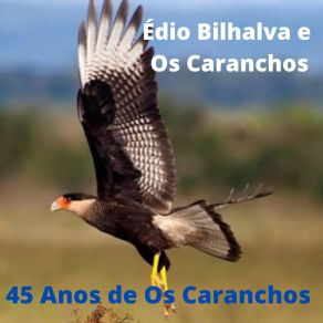 Download track Cheiro De Terra Édio Bilhalva E Os Caranchos