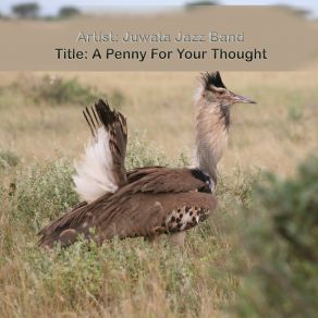 Download track A Penny For Your Thought Juwata Jazz Band