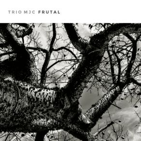 Download track Quejumbrosa Trio MJC