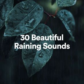 Download track 30 Beautiful Raining Sounds, Pt. 14 24H Rain Sounds