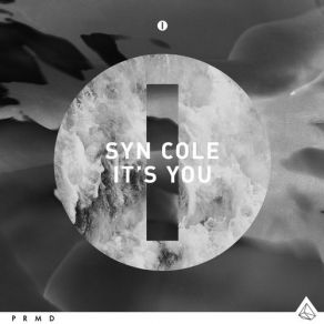 Download track It's You (Original Mix) WaldenSyn Cole