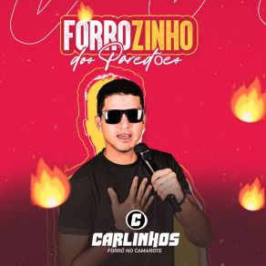 Download track É Tesão Ou É Amor Carlinhos Forró No Camarote