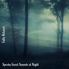 Download track Spooky Forest Sounds At Night, Pt. 3 Steve Brassel