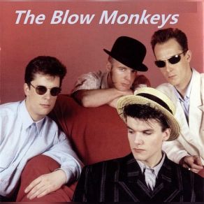 Download track Fat Cat Belusha The Blow Monkeys