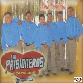 Download track Chuchita Los Prisioneros De Capacuaro