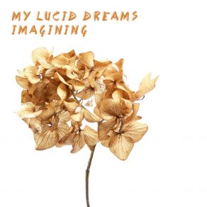 Download track Soft Cake My Lucid Dreams