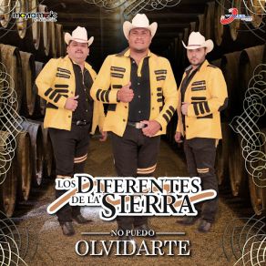 Download track No Puedo Olvidarte Los Diferentes De La Sierra