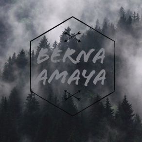 Download track Voy Pa Arriba Berna Amaya