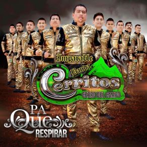 Download track Recuerdos De Mi Rancho Imparable Banda Cerritos Cerro Del Campo