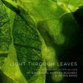 Download track Light Through Leaves Danish Radio Big Band