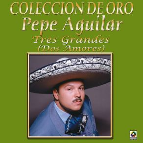 Download track Corazon Esteril Pepe Aguilar