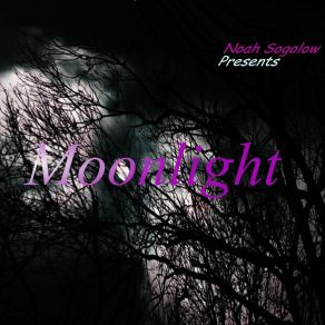 Download track Waves Of Moonlight Noah Sogolow