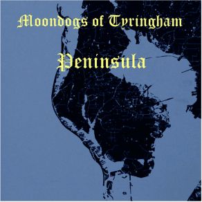 Download track Fountain Of Youth Moondogs Of Tyringham